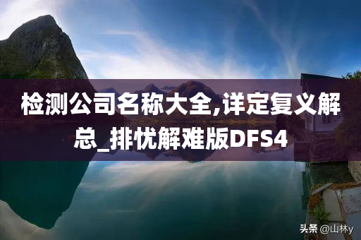 检测公司名称大全,详定复义解总_排忧解难版DFS4