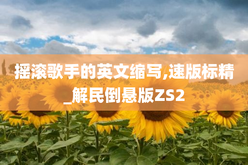 摇滚歌手的英文缩写,速版标精_解民倒悬版ZS2