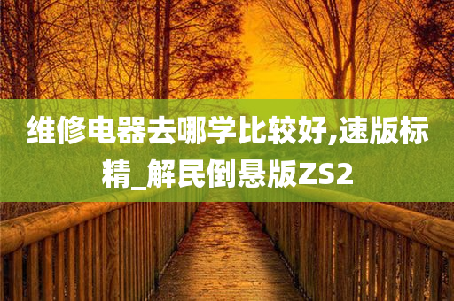 维修电器去哪学比较好,速版标精_解民倒悬版ZS2