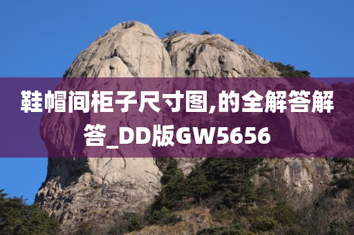 鞋帽间柜子尺寸图,的全解答解答_DD版GW5656