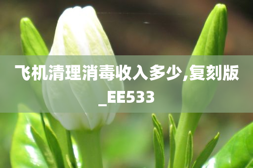 飞机清理消毒收入多少,复刻版_EE533