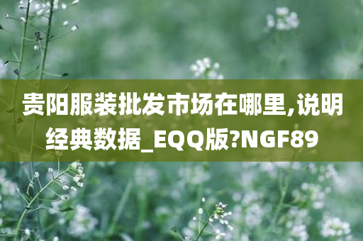 贵阳服装批发市场在哪里,说明经典数据_EQQ版?NGF89