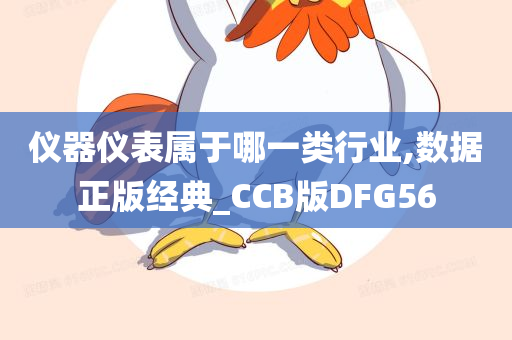 仪器仪表属于哪一类行业,数据正版经典_CCB版DFG56