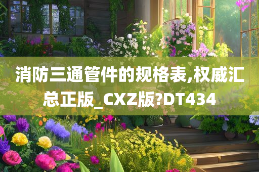 消防三通管件的规格表,权威汇总正版_CXZ版?DT434