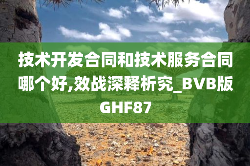 技术开发合同和技术服务合同哪个好,效战深释析究_BVB版GHF87