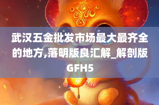 武汉五金批发市场最大最齐全的地方,落明版良汇解_解剖版GFH5