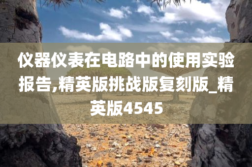 仪器仪表在电路中的使用实验报告,精英版挑战版复刻版_精英版4545