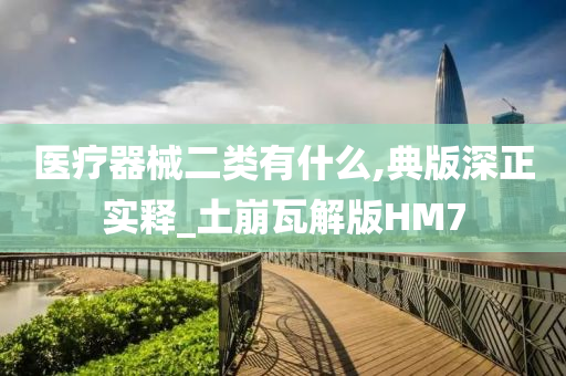 医疗器械二类有什么,典版深正实释_土崩瓦解版HM7