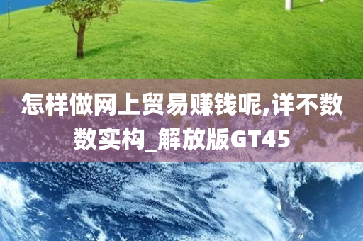 怎样做网上贸易赚钱呢,详不数数实构_解放版GT45