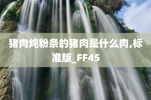 猪肉炖粉条的猪肉是什么肉,标准版_FF45