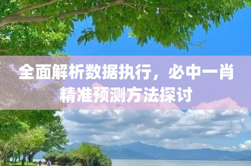 全面解析数据执行，必中一肖精准预测方法探讨