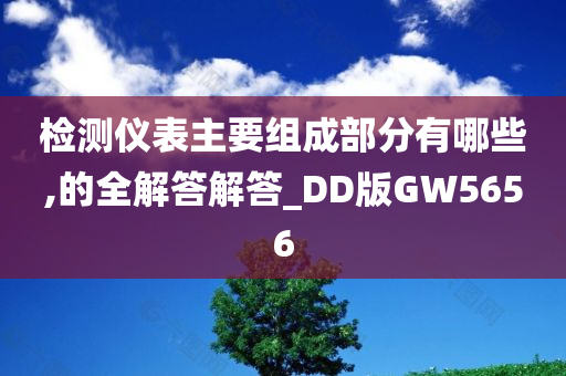 检测仪表主要组成部分有哪些,的全解答解答_DD版GW5656