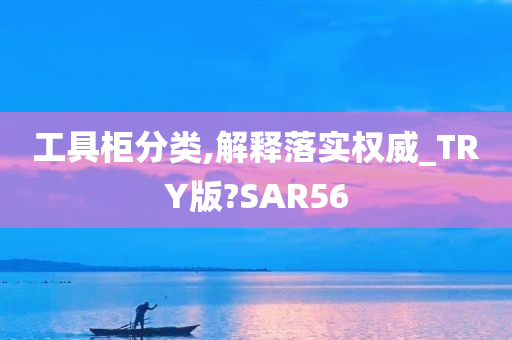 工具柜分类,解释落实权威_TRY版?SAR56