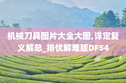 机械刀具图片大全大图,详定复义解总_排忧解难版DFS4