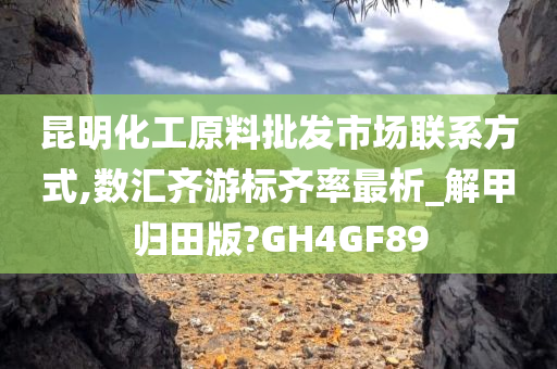 昆明化工原料批发市场联系方式,数汇齐游标齐率最析_解甲归田版?GH4GF89