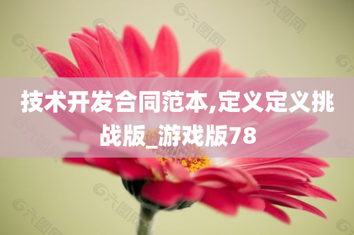 技术开发合同范本,定义定义挑战版_游戏版78