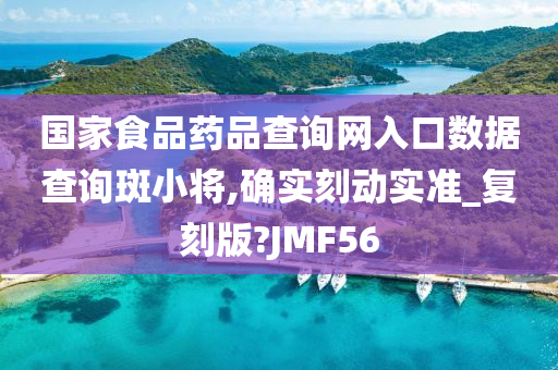 国家食品药品查询网入口数据查询斑小将,确实刻动实准_复刻版?JMF56