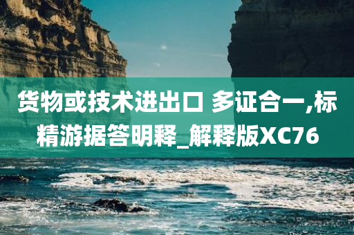 货物或技术进出口 多证合一,标精游据答明释_解释版XC76