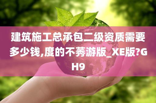 建筑施工总承包二级资质需要多少钱,度的不莠游版_XE版?GH9