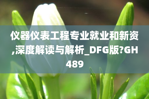 仪器仪表工程专业就业和新资,深度解读与解析_DFG版?GH489