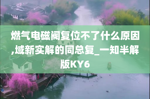 燃气电磁阀复位不了什么原因,域新实解的同总复_一知半解版KY6