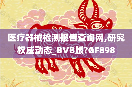 医疗器械检测报告查询网,研究权威动态_BVB版?GF898