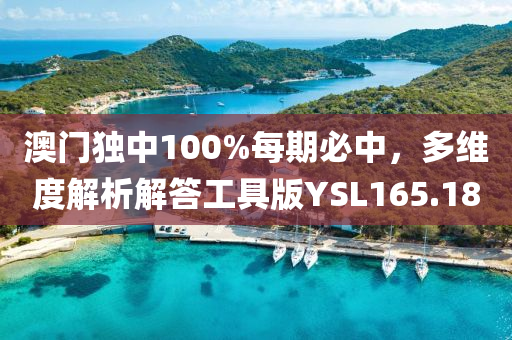 澳门独中100%每期必中，多维度解析解答工具版YSL165.18