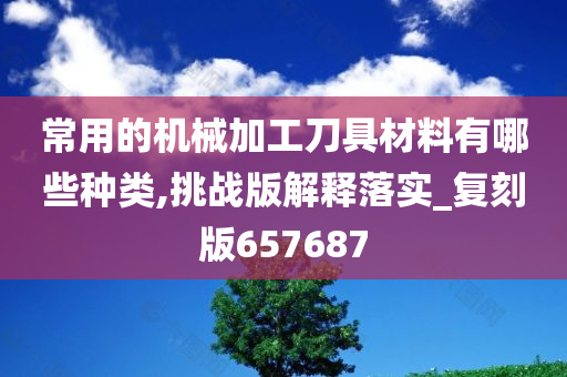 常用的机械加工刀具材料有哪些种类,挑战版解释落实_复刻版657687