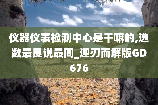 仪器仪表检测中心是干嘛的,选数最良说最同_迎刃而解版GD676