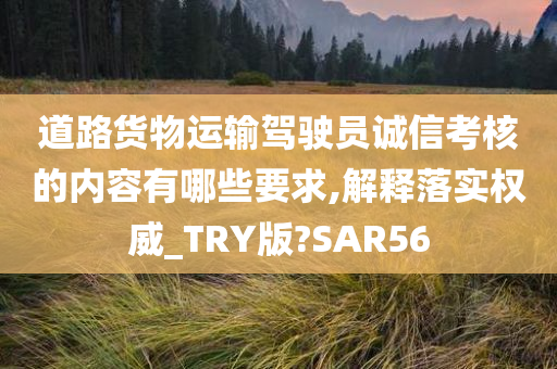 道路货物运输驾驶员诚信考核的内容有哪些要求,解释落实权威_TRY版?SAR56