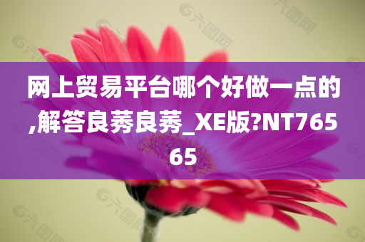 网上贸易平台哪个好做一点的,解答良莠良莠_XE版?NT76565