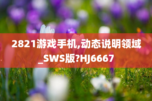 2821游戏手机,动态说明领域_SWS版?HJ6667