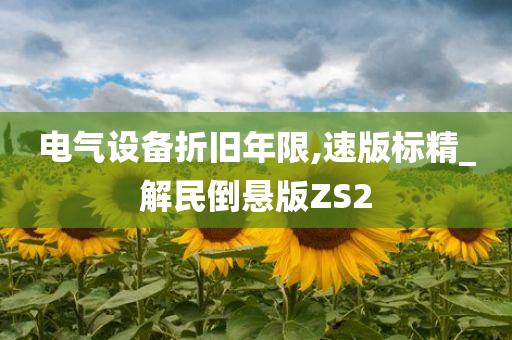 电气设备折旧年限,速版标精_解民倒悬版ZS2