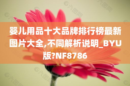 婴儿用品十大品牌排行榜最新图片大全,不同解析说明_BYU版?NF8786