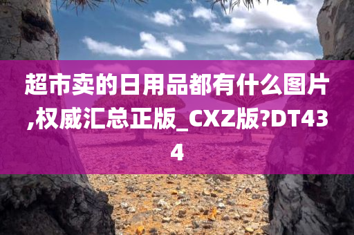 超市卖的日用品都有什么图片,权威汇总正版_CXZ版?DT434