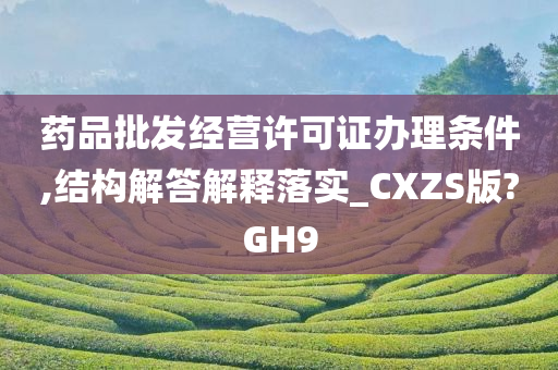 药品批发经营许可证办理条件,结构解答解释落实_CXZS版?GH9