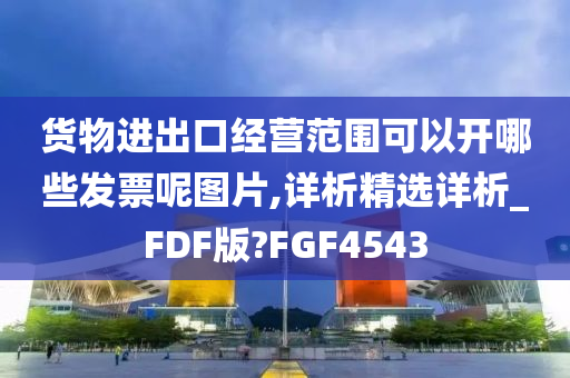 货物进出口经营范围可以开哪些发票呢图片,详析精选详析_FDF版?FGF4543