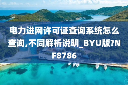 电力进网许可证查询系统怎么查询,不同解析说明_BYU版?NF8786