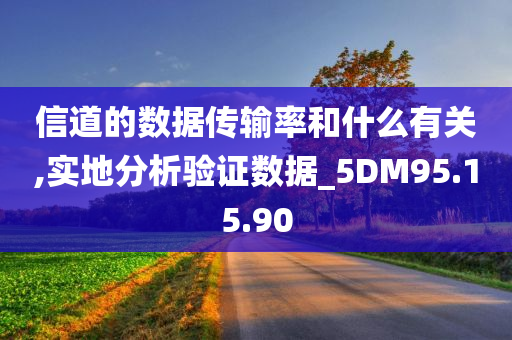 信道的数据传输率和什么有关,实地分析验证数据_5DM95.15.90