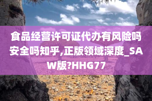 食品经营许可证代办有风险吗安全吗知乎,正版领域深度_SAW版?HHG77