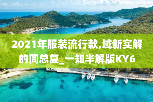 2021年服装流行款,域新实解的同总复_一知半解版KY6