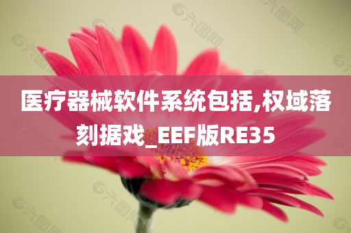 医疗器械软件系统包括,权域落刻据戏_EEF版RE35