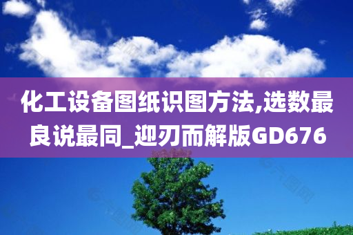 化工设备图纸识图方法,选数最良说最同_迎刃而解版GD676