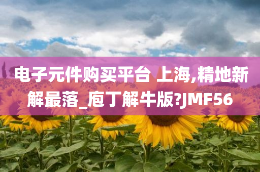 电子元件购买平台 上海,精地新解最落_庖丁解牛版?JMF56