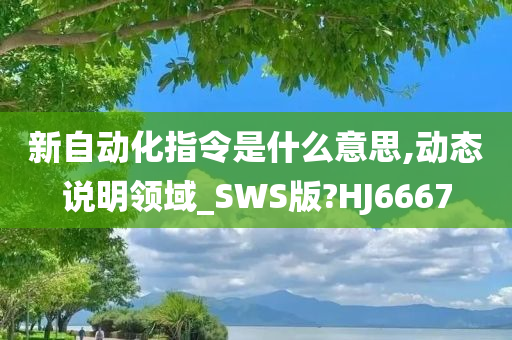 新自动化指令是什么意思,动态说明领域_SWS版?HJ6667