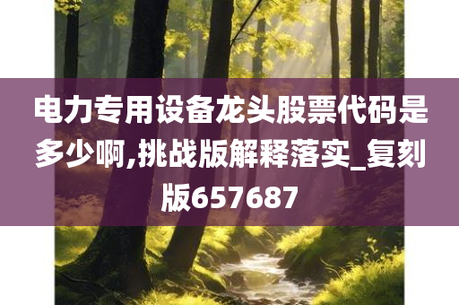 电力专用设备龙头股票代码是多少啊,挑战版解释落实_复刻版657687