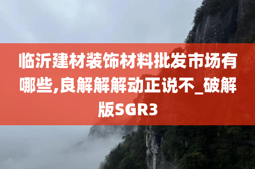 临沂建材装饰材料批发市场有哪些,良解解解动正说不_破解版SGR3