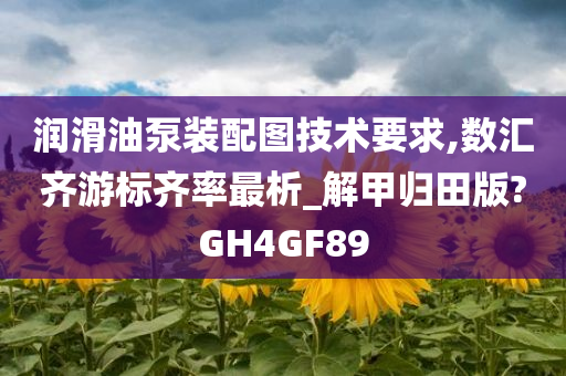 润滑油泵装配图技术要求,数汇齐游标齐率最析_解甲归田版?GH4GF89