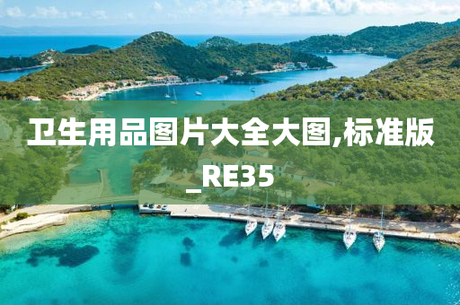 卫生用品图片大全大图,标准版_RE35