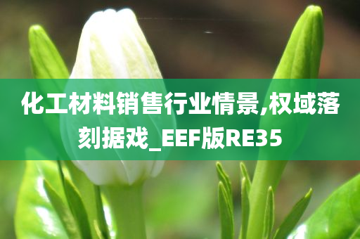 化工材料销售行业情景,权域落刻据戏_EEF版RE35